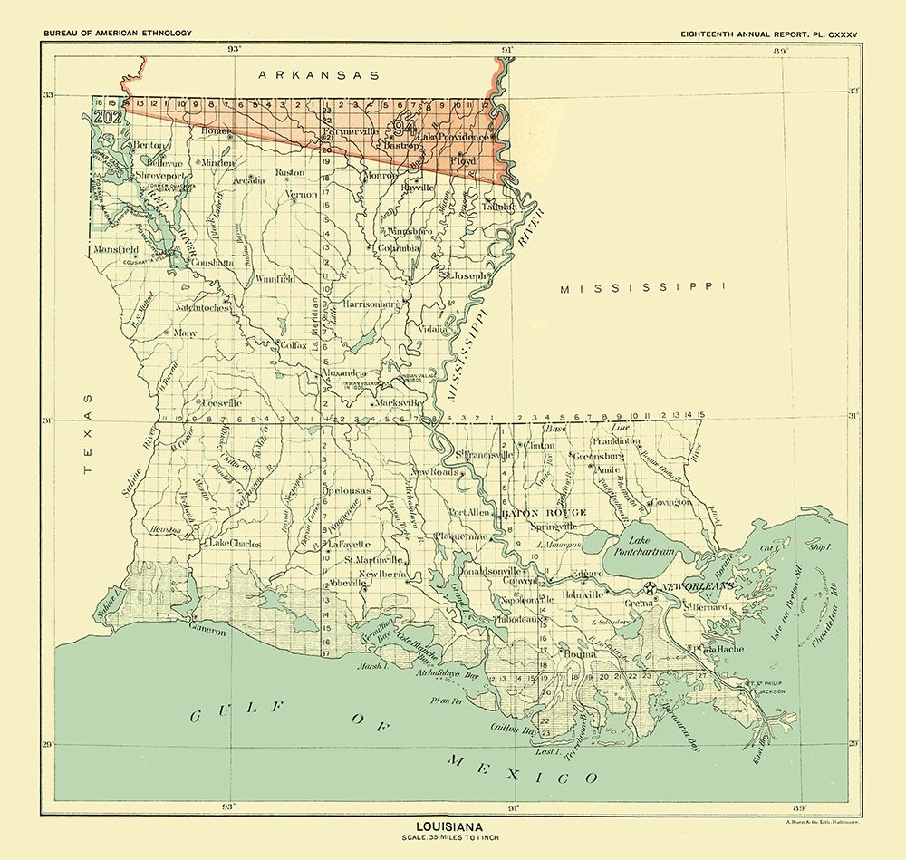 Louisiana - Hoen 1896
