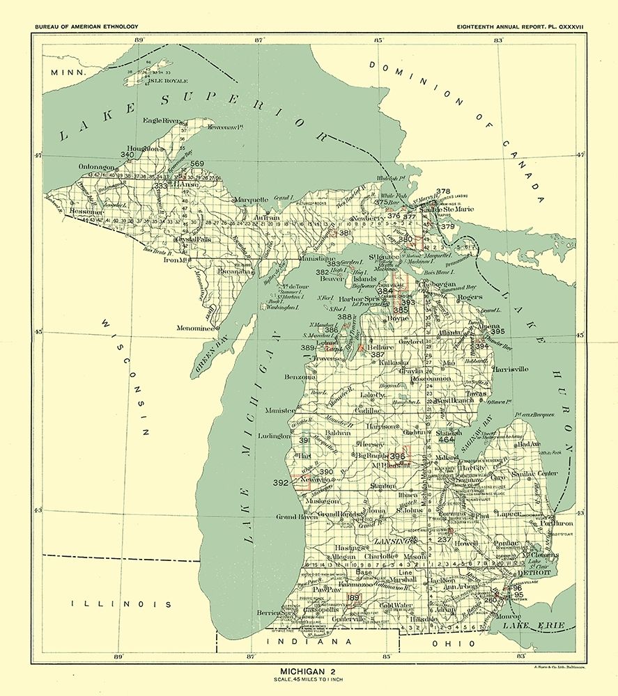 Michigan - Hoen 1896