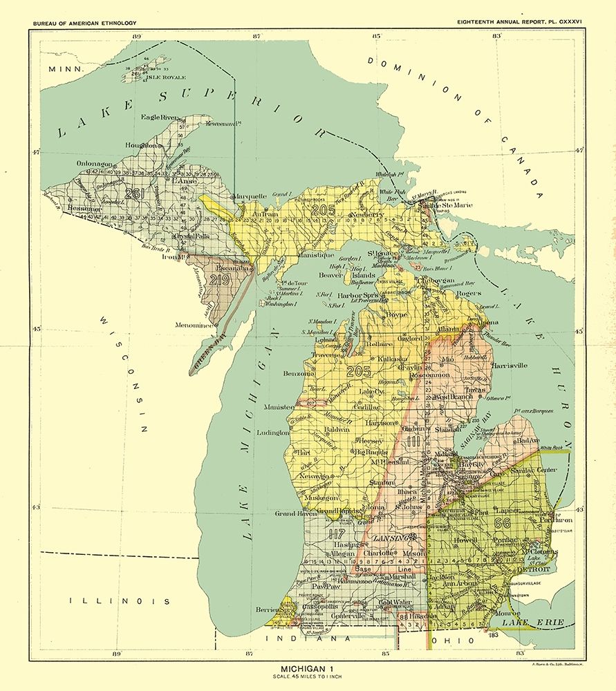 Michigan - Hoen 1896