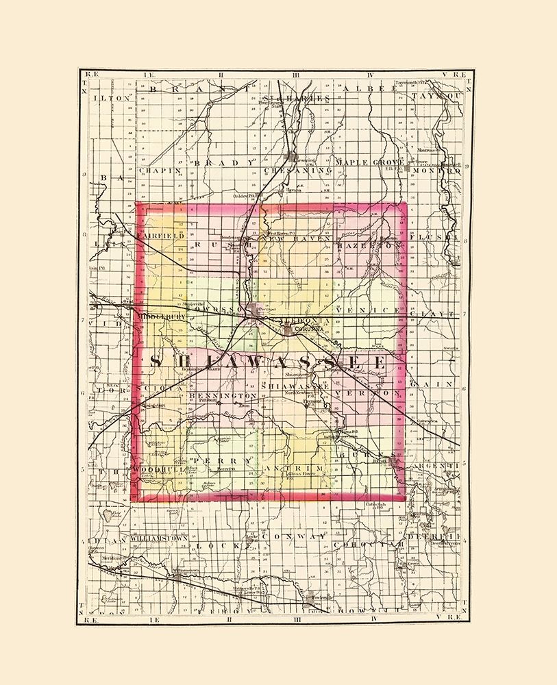Shiawassee Michigan - Walling 1873