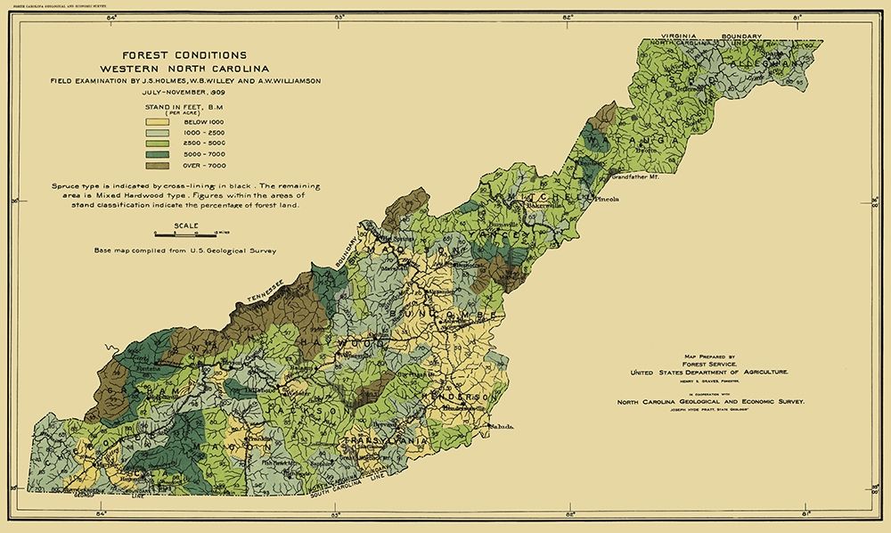 Western North Carolina Forest Conditions 1909