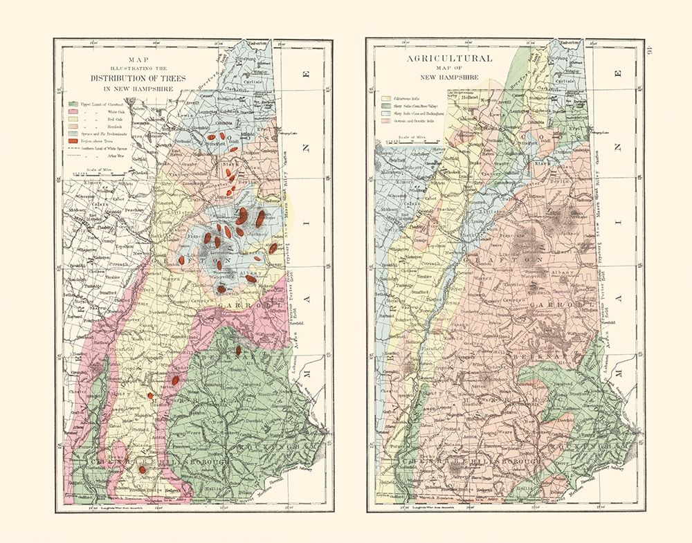 New Hampshire Agricultural - Hitchcock 1877