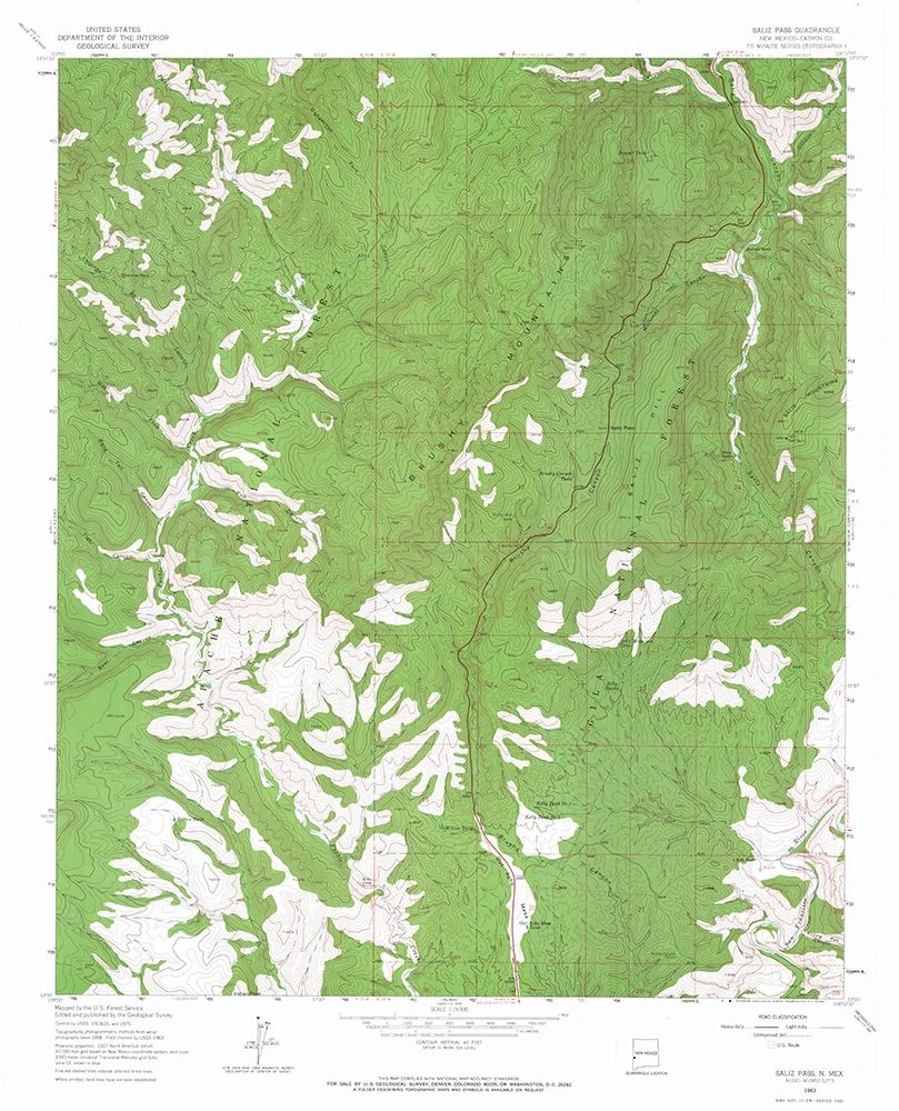 Salize Pass New Mexico Quad - USGS 1963
