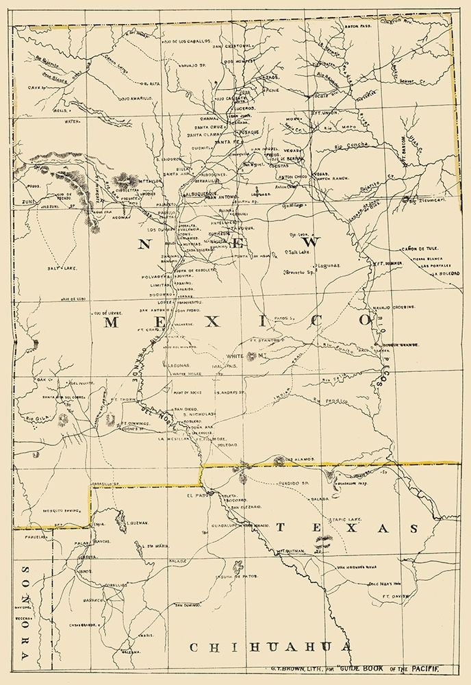 New Mexico - Holdredge 1866