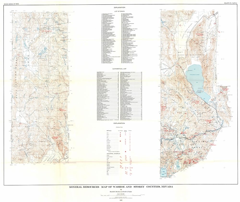Washoe Storey Counties Mineral NV Mines