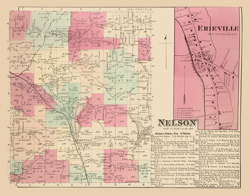 Nelson New York Landowner - Whitman 1875