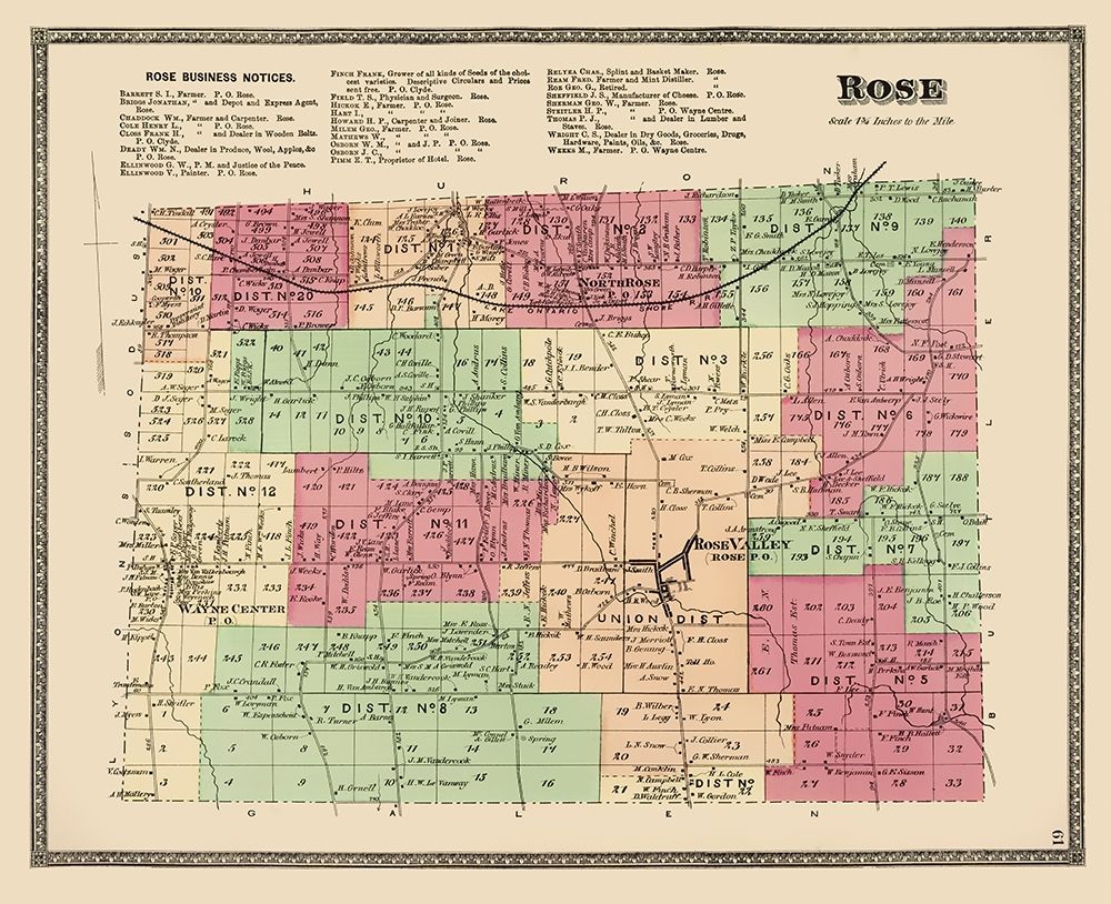 Rose New York Landowner - Beers 1874