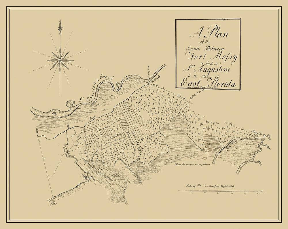 Plan Fort Mossy St Augustine Florida - Roworth