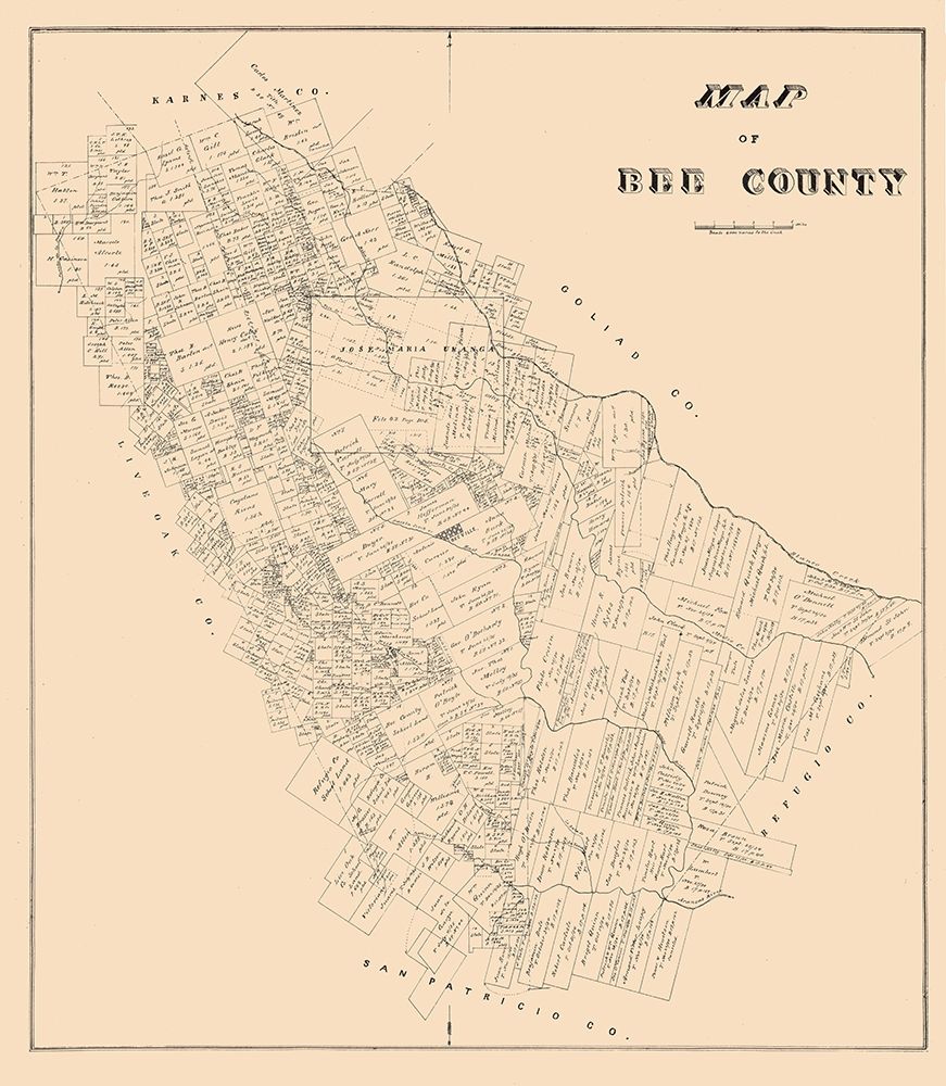 Bee County Texas - 1879