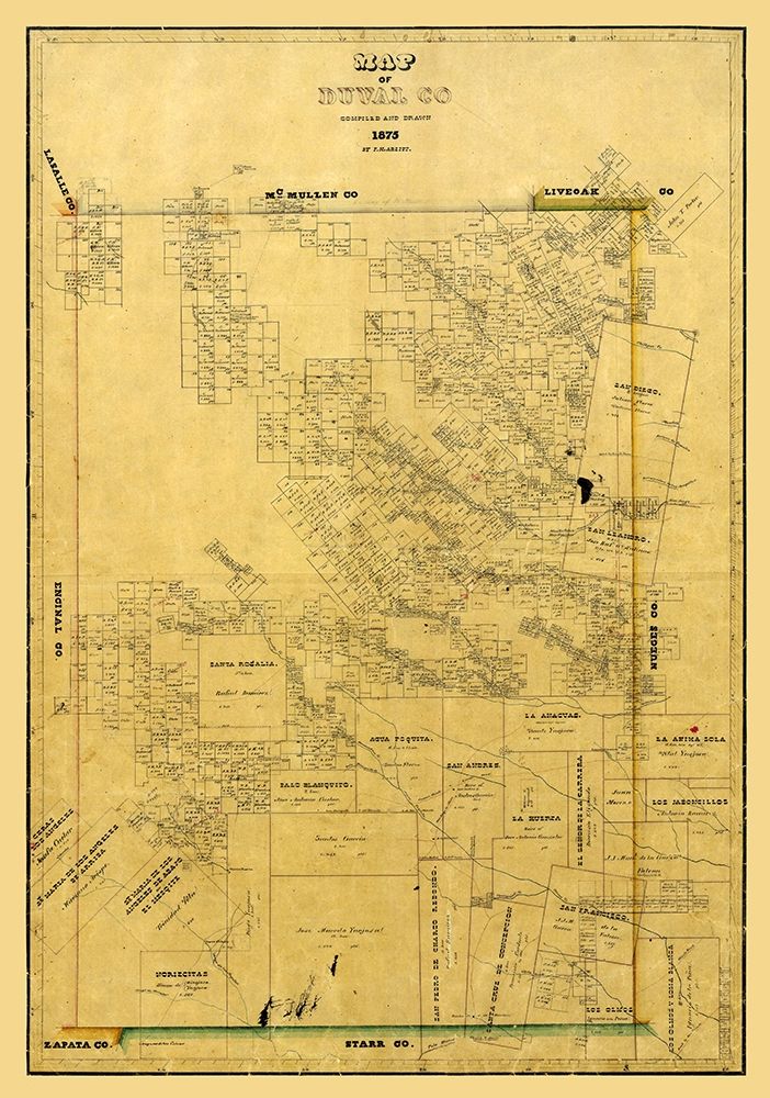 Duval County Texas - Arlitt 1875