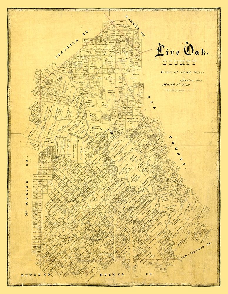Live Oak County Texas -1879