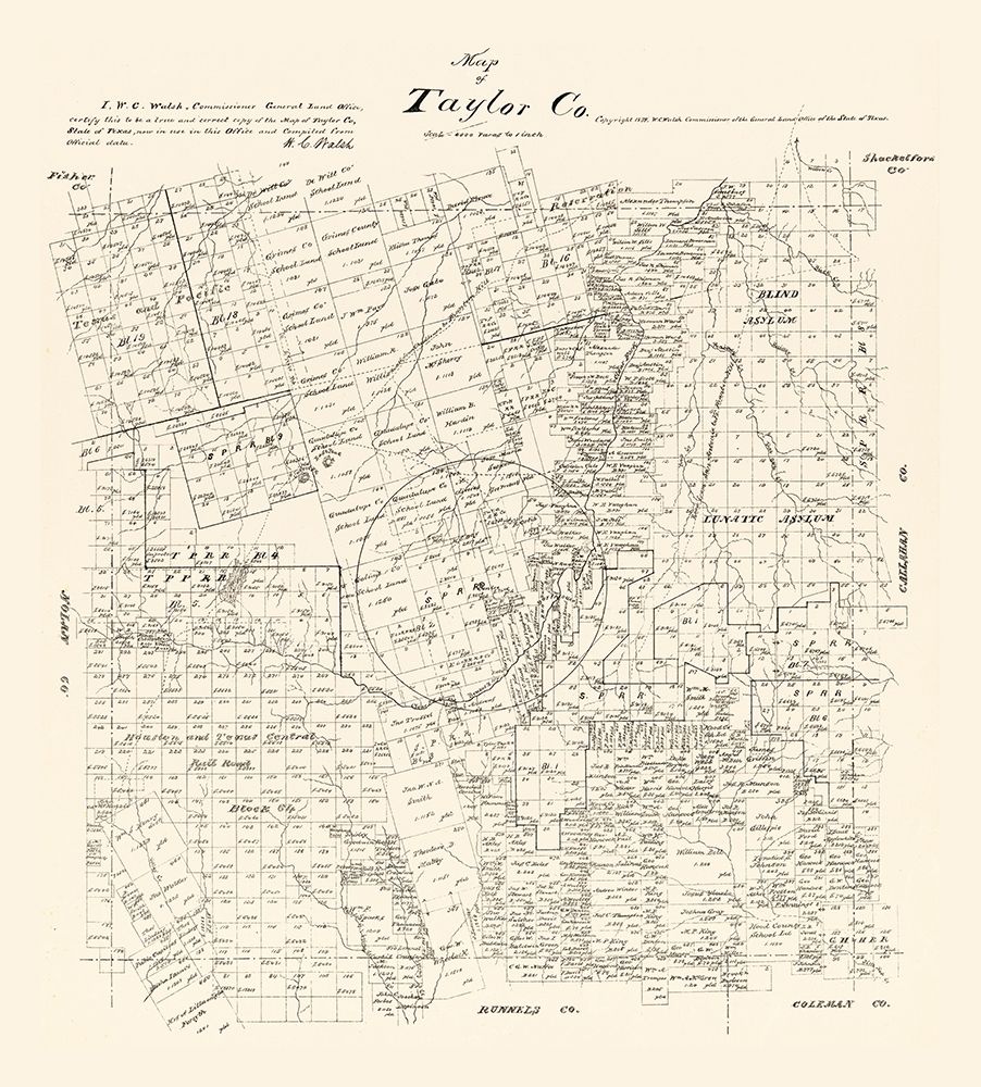 Taylor County Texas - Walsh 1879