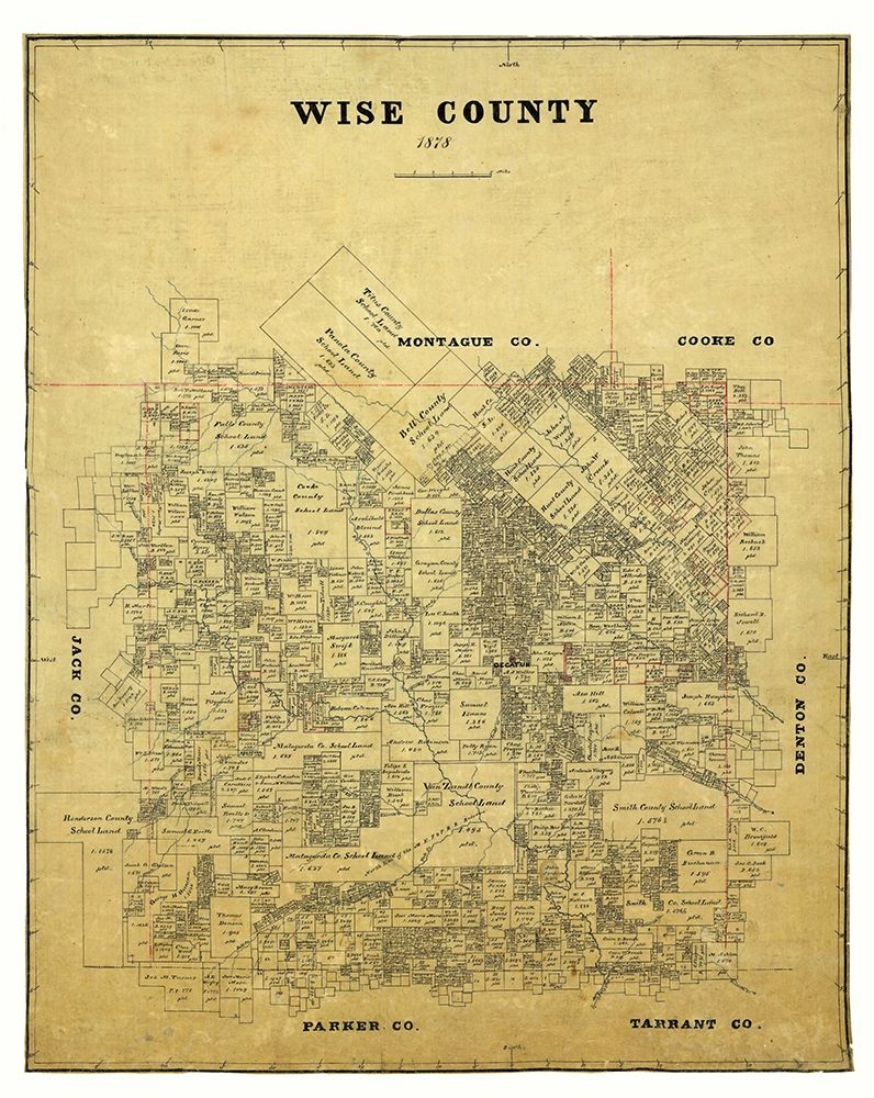 Wise County Texas -1878