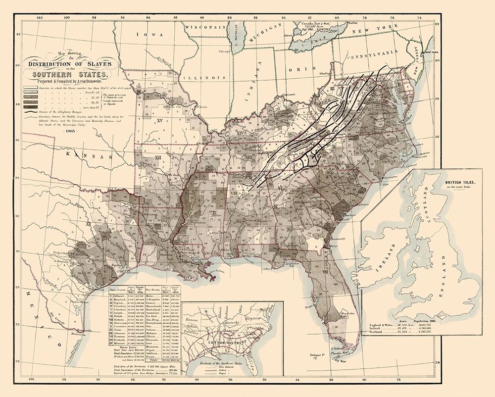 Disributiont of Slaves In the Southern States 1865