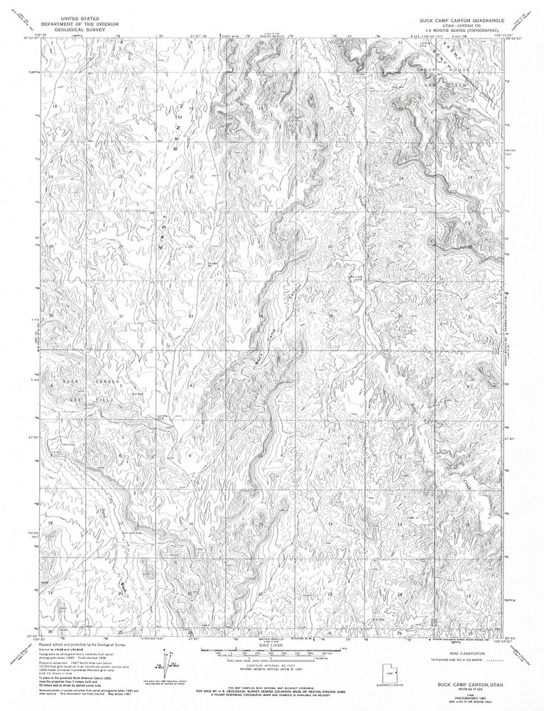 Buck Camp Canyon Utah Quad - USGS 1968