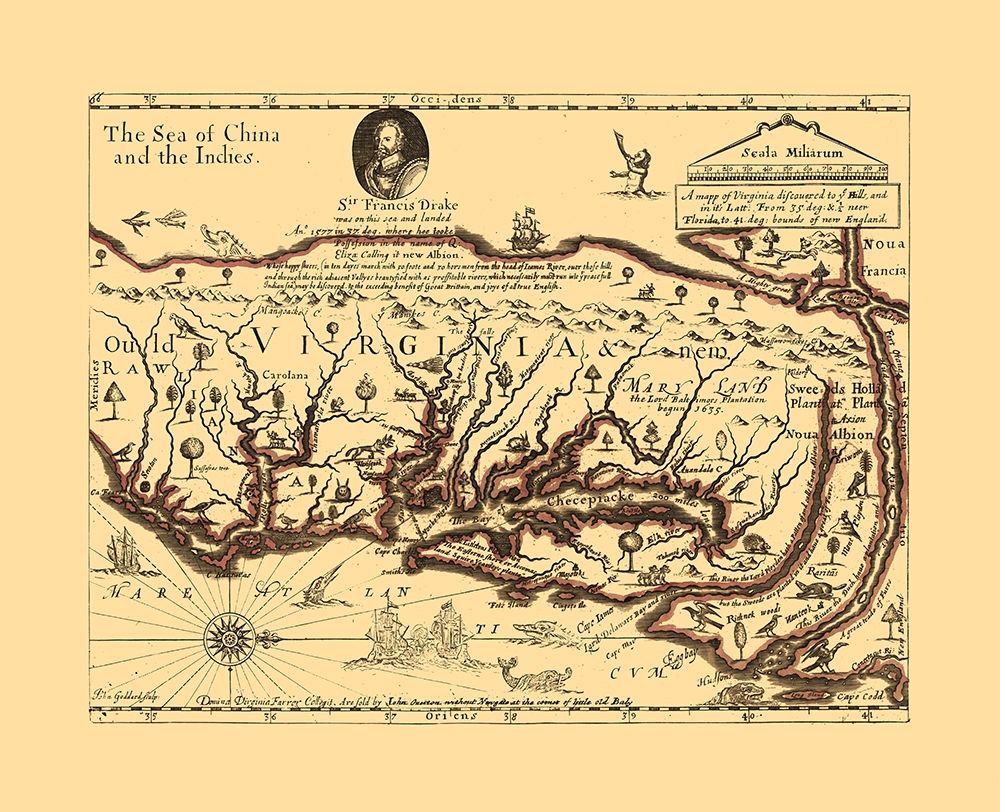 Virginia - Sir Francis Drakes - Hills