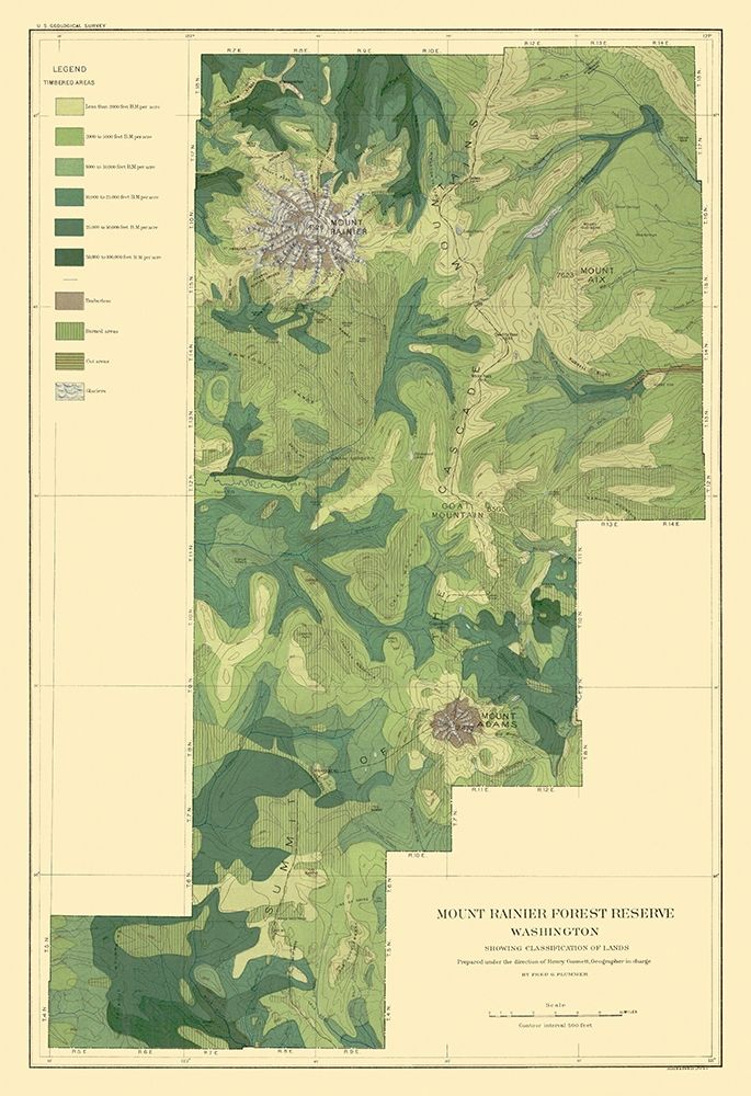 Mount Rainier Forest Washington 1899
