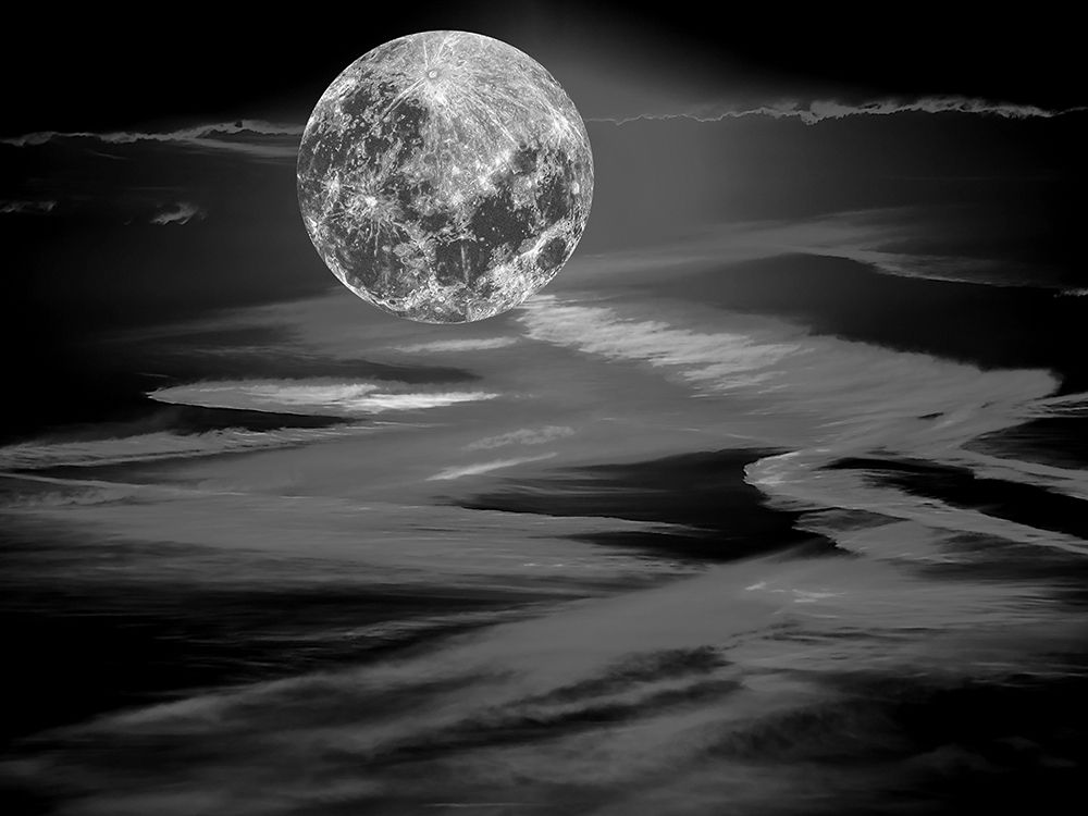 Black Moonlight