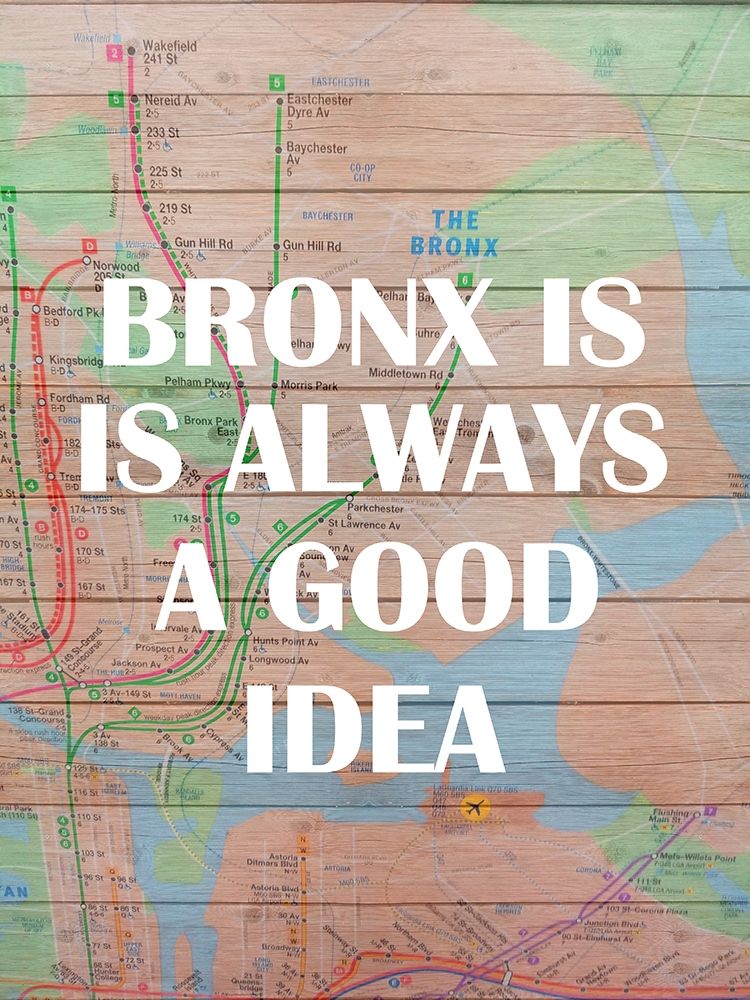 Bronx Train