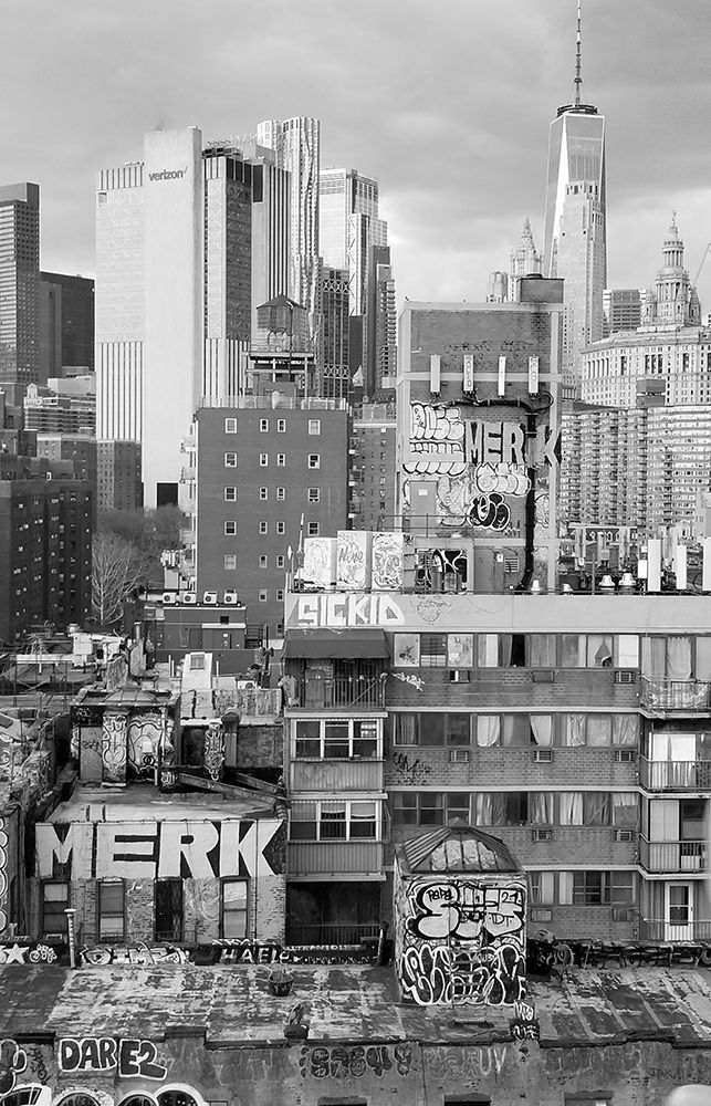 New York Bridge View