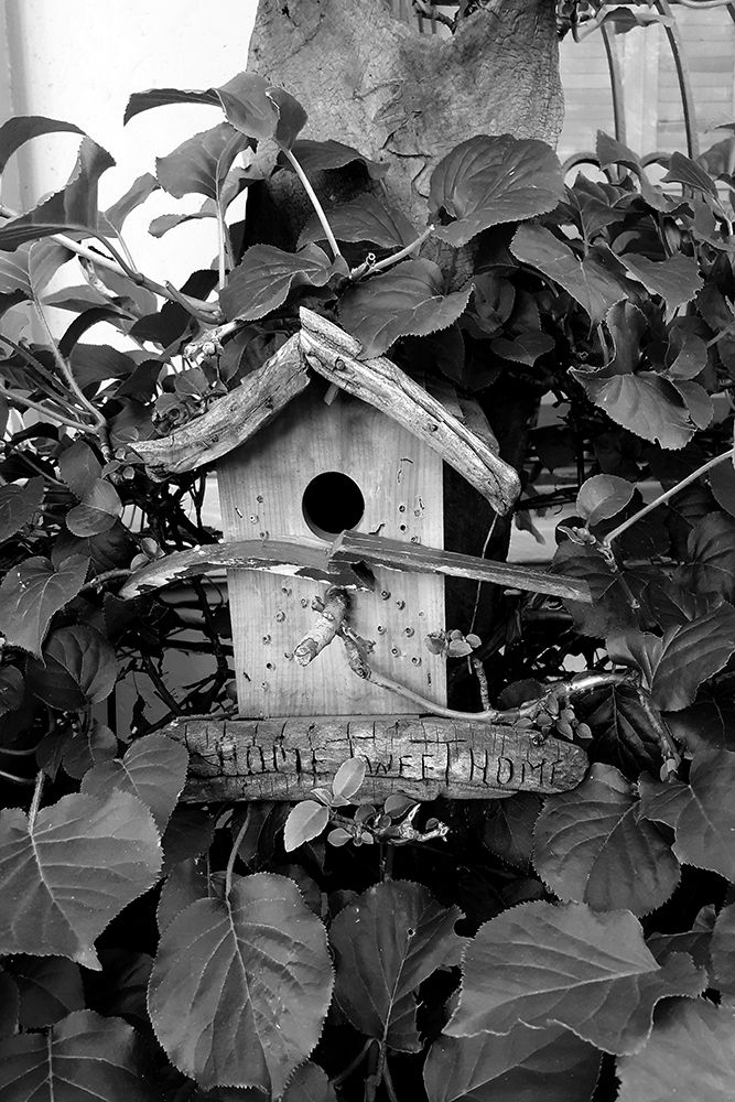 Bird House