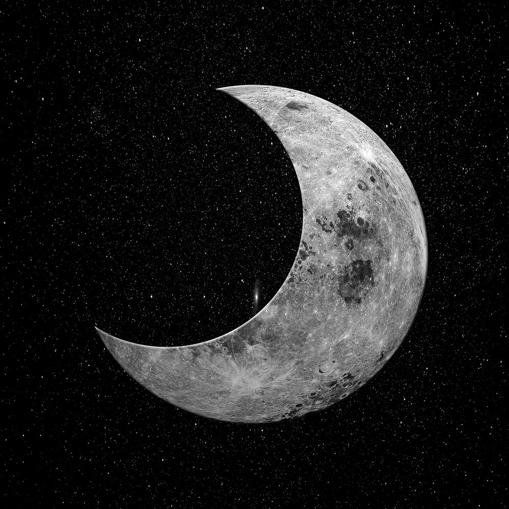 Night Moon