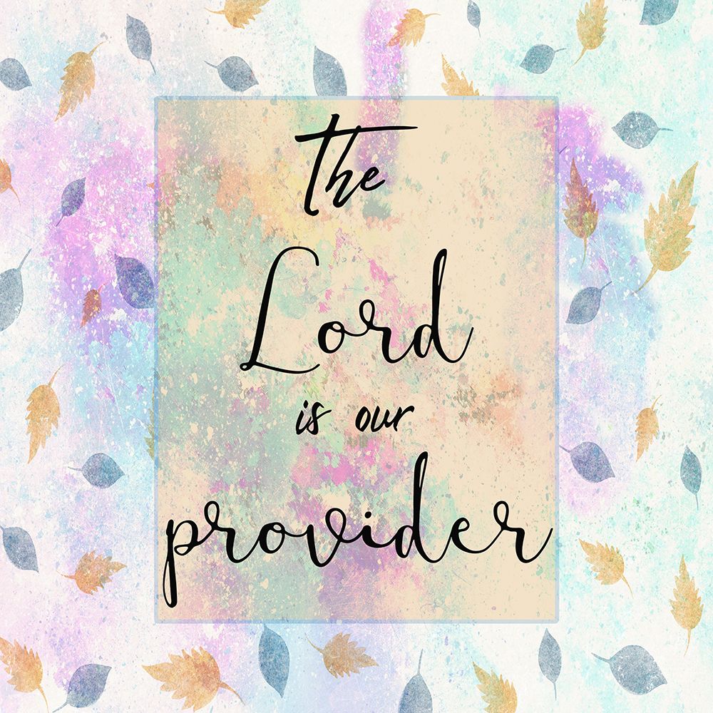 Provider