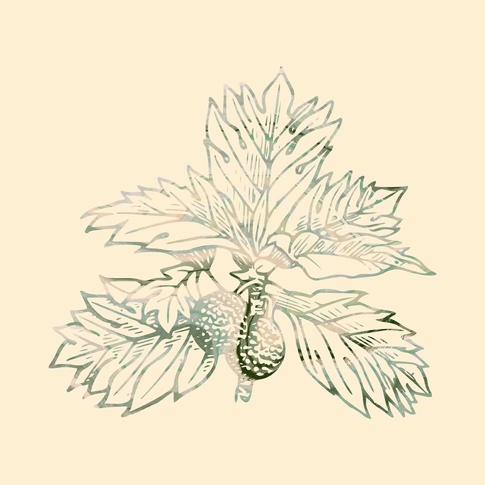 Breadfruit