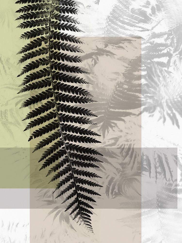 Plantation III