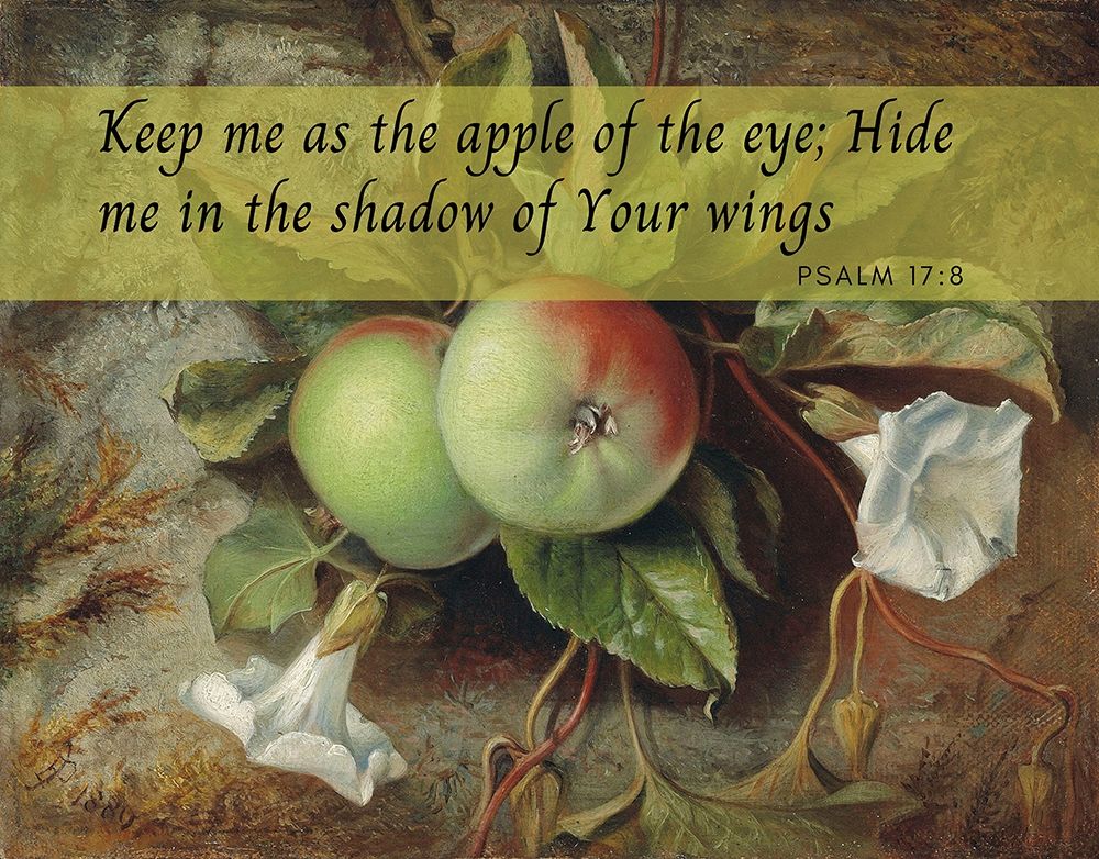 Bible Verse Quote Psalm 17:8, Edward John Poynter - Autumn Apples and Convolvulus