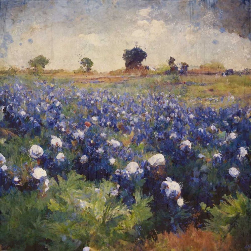 Texas-Bluebonnets I