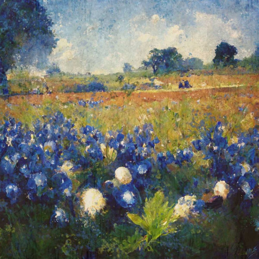 Texas-Bluebonnets II