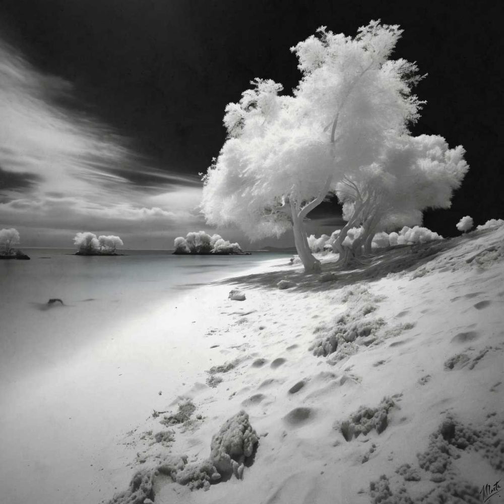Infrared Beach II