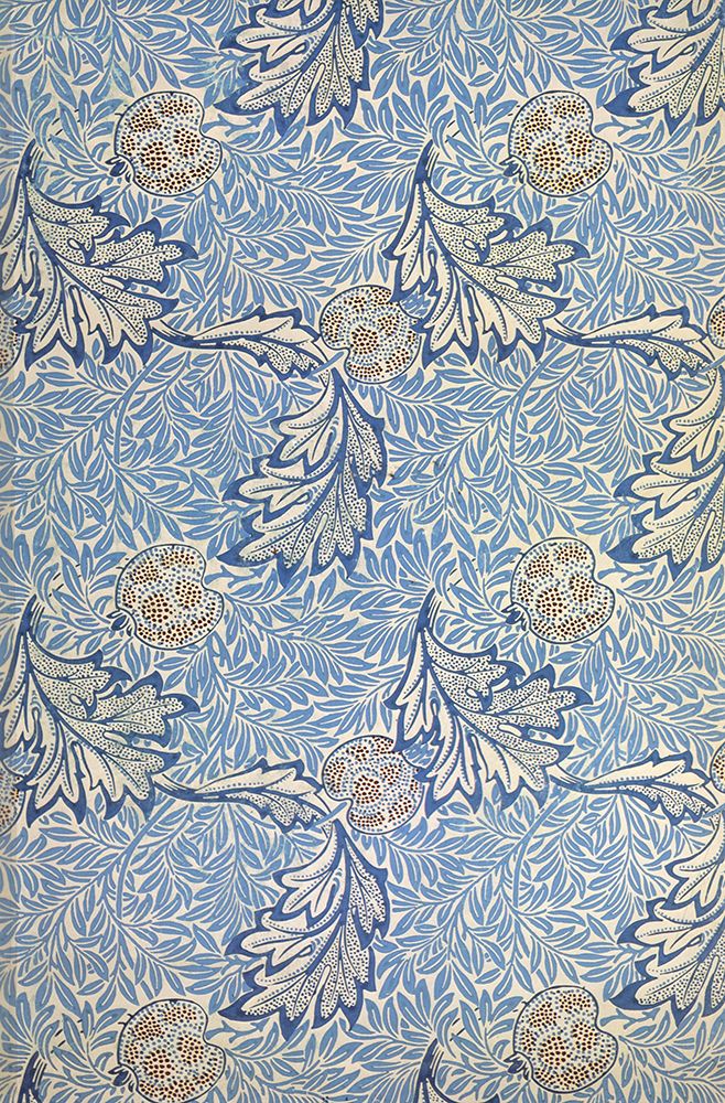 Apple Wallpaper 1877