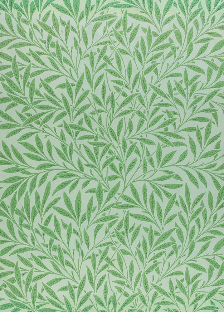 Willow 1874