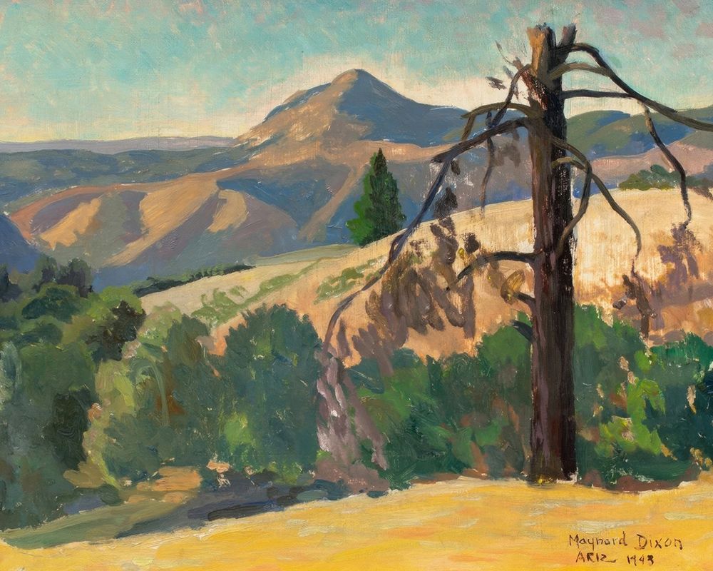 Arizona 1943