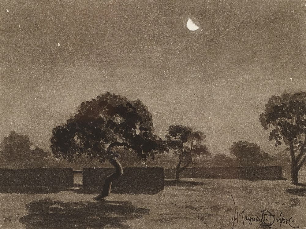 Desert Moon