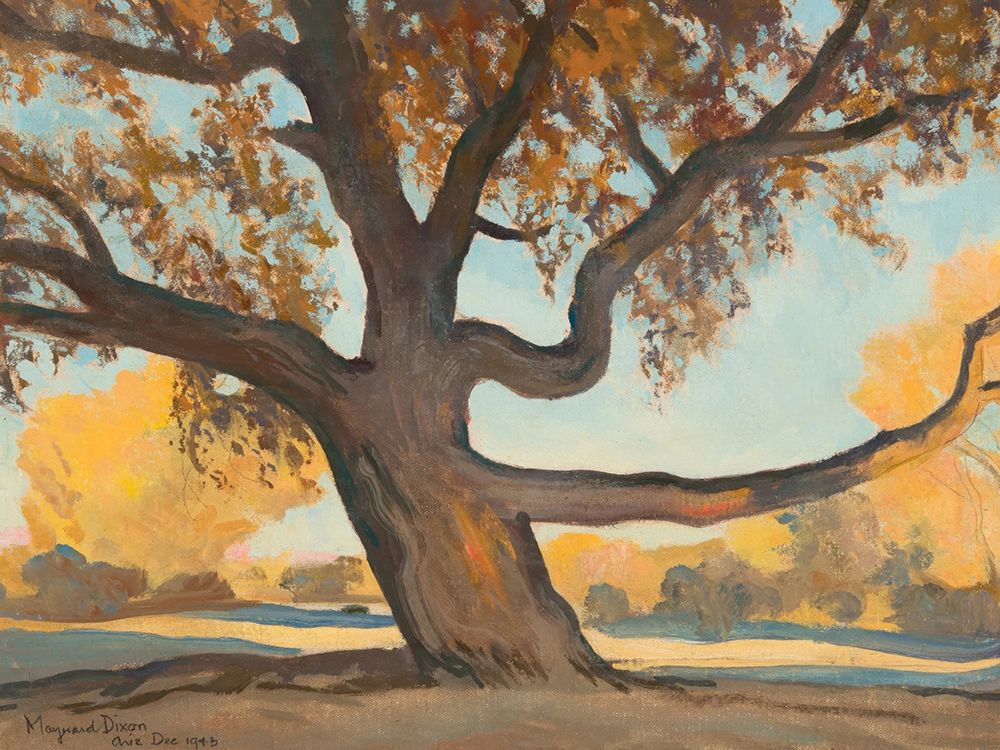 Old Tree 1943