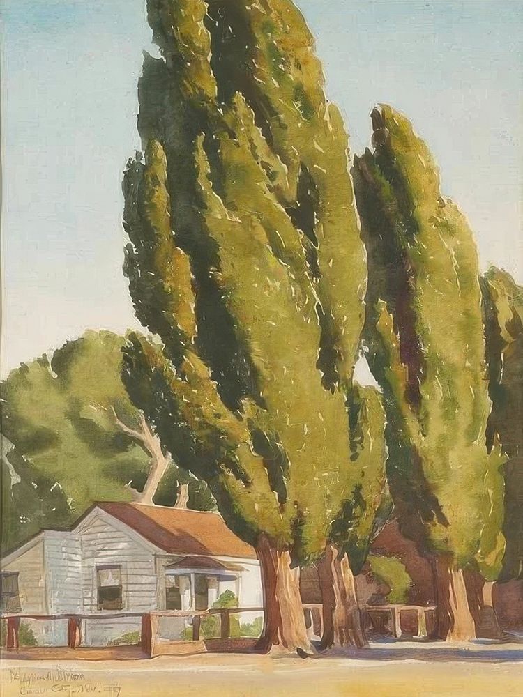 Poplars of Carson 1937