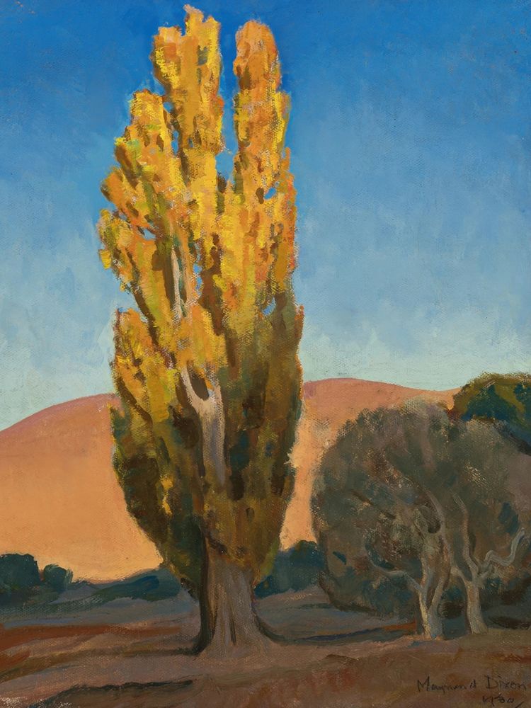 Shifting Light on a Poplar 1930