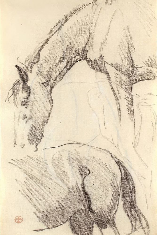 Study of Horses