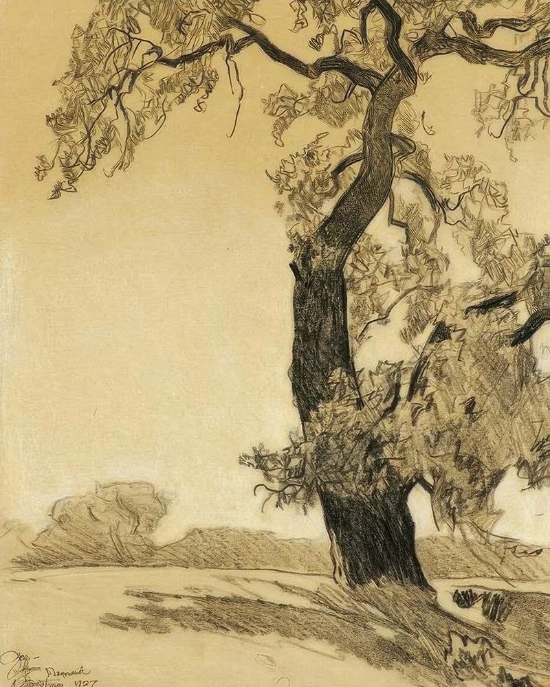 The Oak Tree 1927