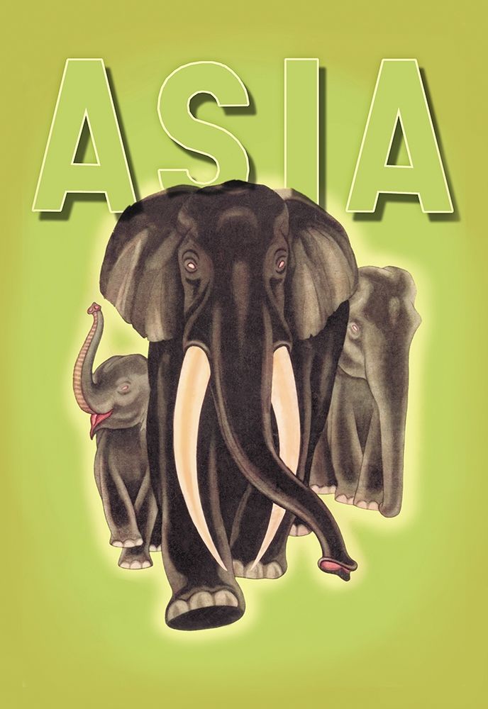 Indian Elephants, 1934