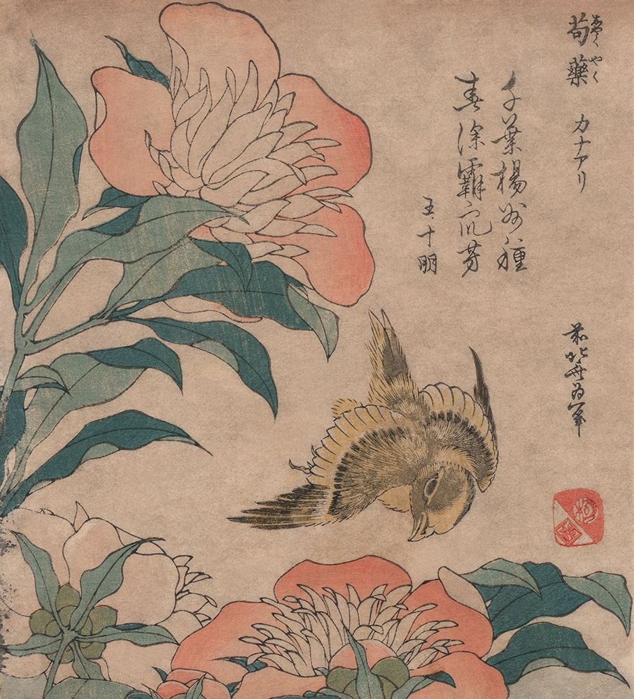 Peony and Canary, 1833