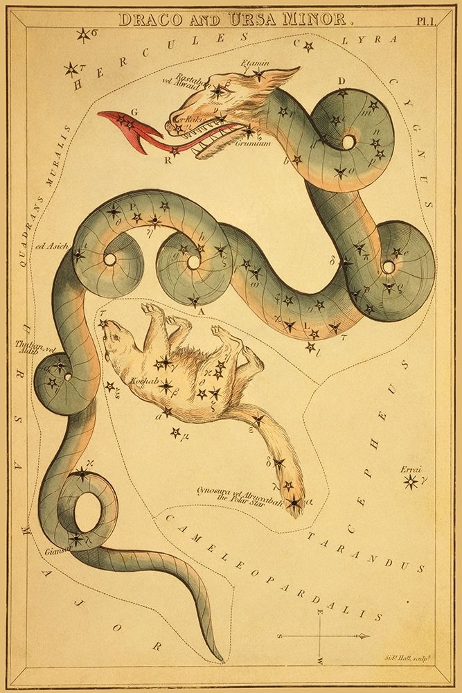 Draco and Ursa Minor, 1825
