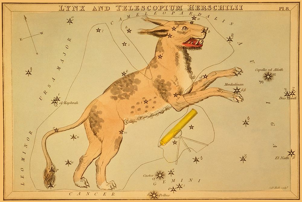 Lynx and Telescopium Herschilii, 1825