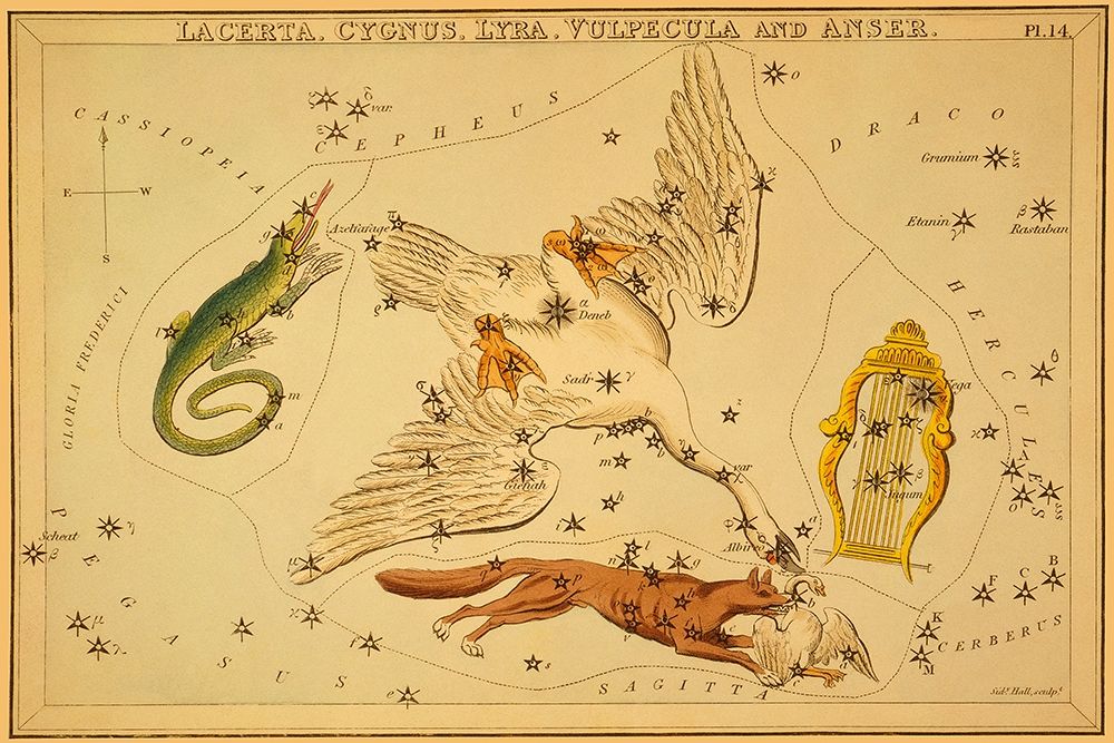 Lacerta, Cygnus, Lyra, Vulpecula and Anser, 1825