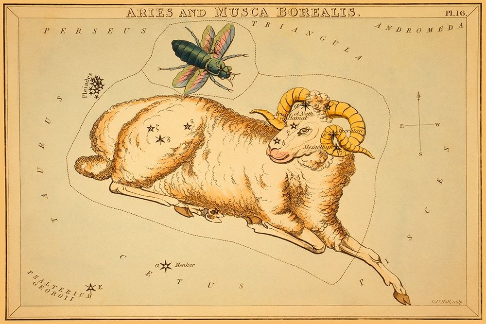 Aries and Musca Borealis, 1825
