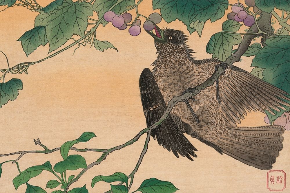Bird Eating a Grape