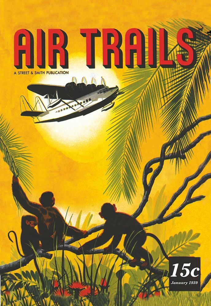 Seaplane Over the Tropics